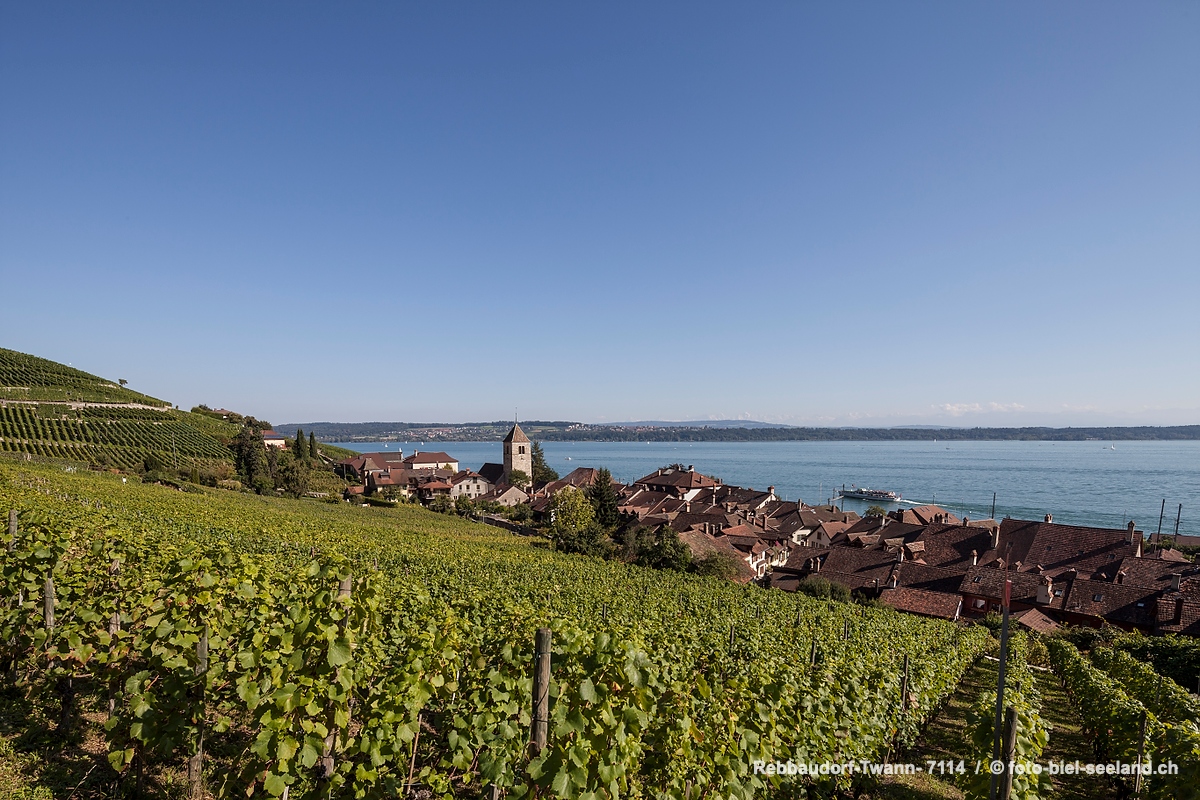 Bildname:  Rebbaudorf-Twann- 7114 Rebbaudorf Twann am BielerseeBildgroesse: 5463  x 3643 px /  46.3 x 30.8 cm (300dpi)Stichwoerter:  Bielersee, Drei...